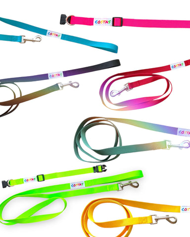 Matching leash